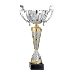 Pokal Solin