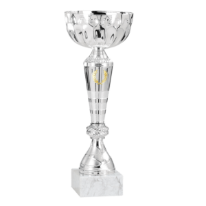 Pokal Odense