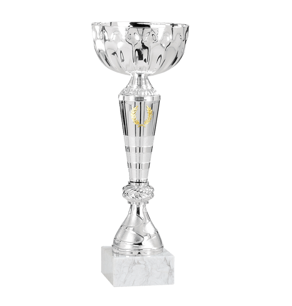 Pokal Odense