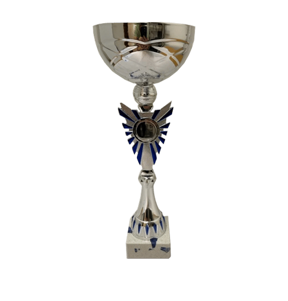 Silverfärgad pokal