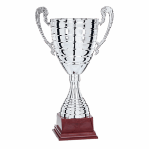 Silverfärgad pokal