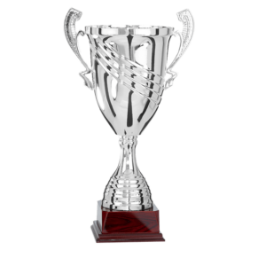 FS pokal