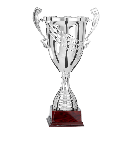 FS pokal