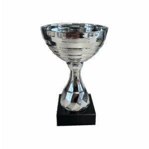 Silverfärgad pokal