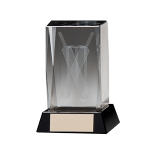 Statyett Cricket 3D glas