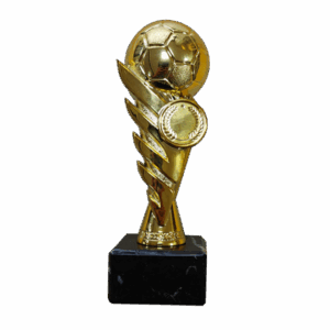 Statyett fotboll
