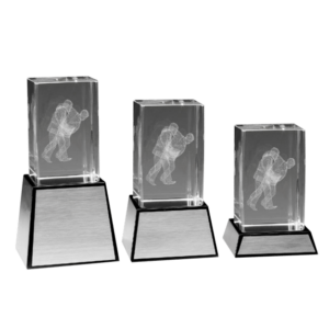 Judo 3D-glas