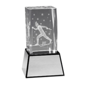 Skidor 3D glas