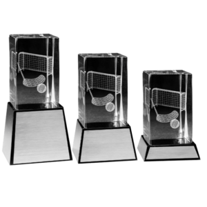 Innebandy 3D glas