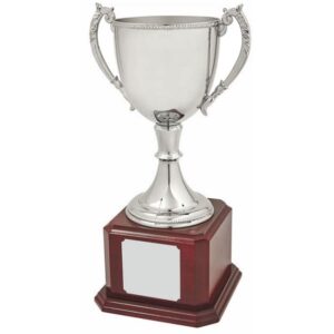 Pokal Sheffield
